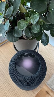 Apple HomePod 2. generace - 5