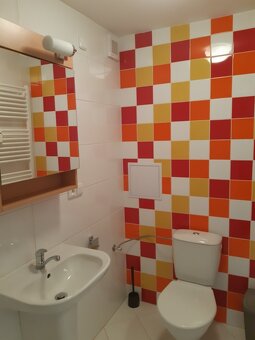 Byt 1+kk, Hronov, 25 m2 - 5