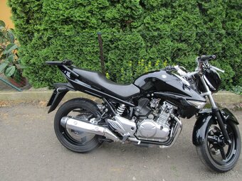 Suzuki GW 250 Inazuma - 5