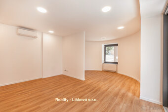 Pronájem luxusně zrekonstruovaného Atelieru 1kk ve vile Anna - 5