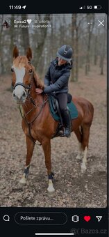 Prodám krásnou klisnu. - 5