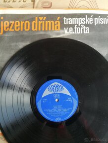 Lp - 5