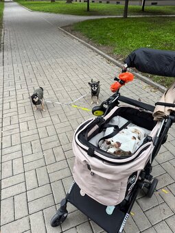Kocarek pro pejsky psy Fikago - 5