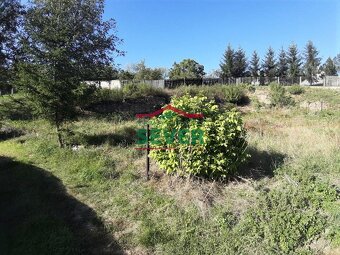Prodej, pozemek, OV, Blšany - 5