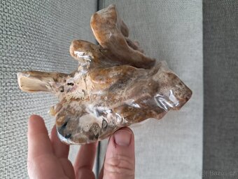 zkamenělé dřevo - 5