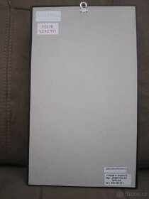 Dráček létavý - 5