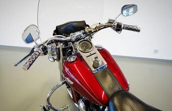 Harley-Davidson Heritage Softail, 2005 - 5