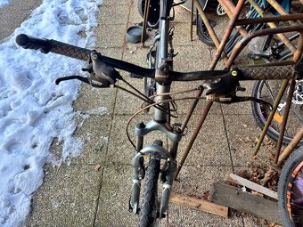 Kolo Giant Rincon - 5