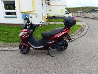 Prodám - 5
