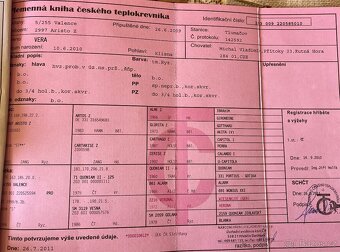 Charakterní kobyla po Aristo - 5