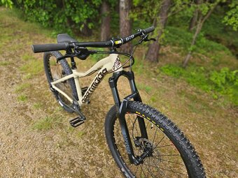 DĚTSKÝ TRAIL BIKE DARTMOOR SPARROW - 5