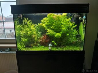 Akvária Aqualantis Fusion 60 a 80 - 5