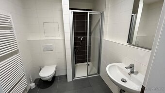 Pronájem bytu 1+kk s balkonem, Nová Tesla - 5