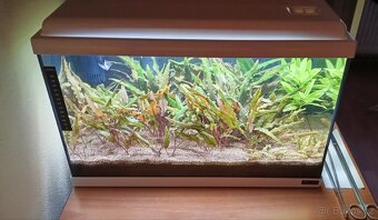 Akvárium 40 litrů - 5