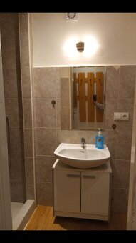 Pronájem bytu 1+kk, ul. Na Rybníčku, Olomouc - 5