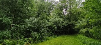 Kelč, prodej pozemků, 10 391 m2 - 5