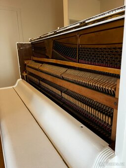 Bílé Pianino Hansmann - 5