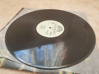 Deska LP - Arakain - Schizofrenie - 1 vydání, perfektní stav - 5