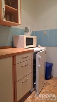 Pronájem bytu na Pankráci, 1+kk, 25m2 - 5
