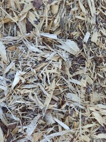 Mulčovací kůra, štěpky, frézované štěpky - 5