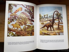 Paleontologie obratlovců. V. Špinar, Zdeněk Burian - 5