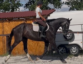 4 LETÝ VALACH CS DO SPORTU I K REKREACI - 5