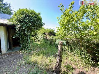 Prodej zahrady se zahradní chatkou o rozloze 420 m2 - Kralup - 5