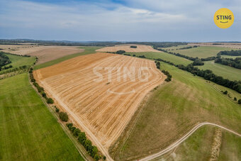 Prodej unikatního rodinného domu s historií 7+2 s ro, 133261 - 5