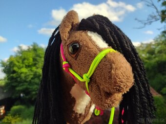 Hobby horse - 5