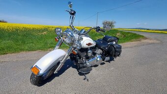 Harley Davidson - 5