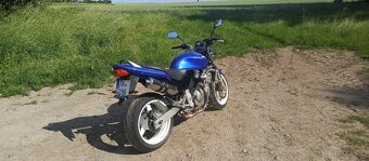 Honda Hornet 600 35KW A2 - 5