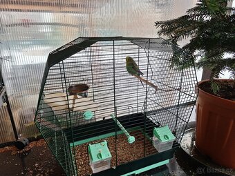 Andulka i s klecí - 5