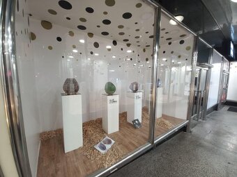 Pronájem výlohy – Liberec – 10 000 Kč/měsíc - 5