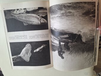 Velký obrazový atlas ryb - 5