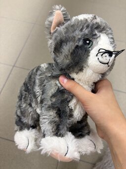 Plyšové kočky - 5