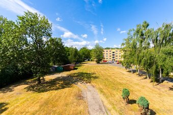 Pronájem bytu se zahradou - REZERVOVÁNO - 5