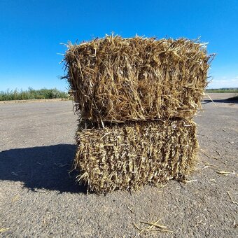 Malé hranaté balíky pšeničné slámy - 5