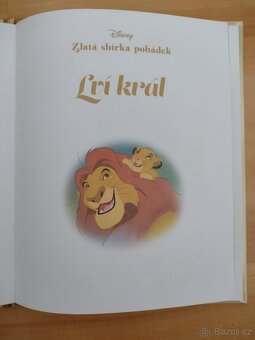 Kniha Lví král - 5