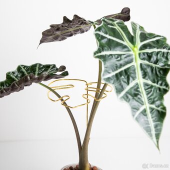 Opora pro rostliny, list monstery, zlatá - 5