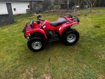 Yamaha Grizzly 350 - 5