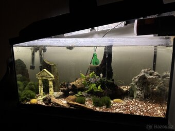 54l akvarium vc. kompletniho vybaveni - 5