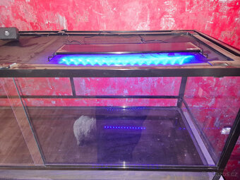 Prodám terarium 120 x 45 x 45 včetně osvětlení a výhřevu - 5