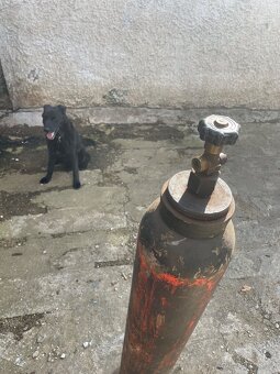 Tlakovou láhev, CO2, potravinářský na čep. sudů, sváření - 5