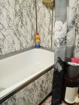 NÁJEM bytu 2+1 v Nové Roli - 5