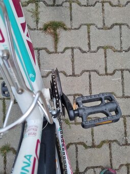 Dívčí kolo Alpina Eco 26 - 5