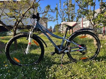 Dětské kolo Kellys Kiter 24 (na postavu cca 115-145 cm) - 5