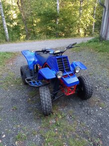 Yamaha Banshee 350 - 5