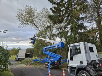 Rizikové kácení stromů – výškové práce - 5