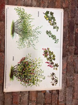 Školní plakáty 100 ks - 5