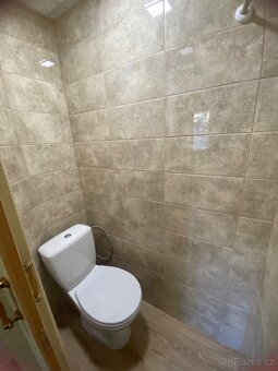 Pronájem bytu 1+KK u Zámeckého parku Litvinov - 5